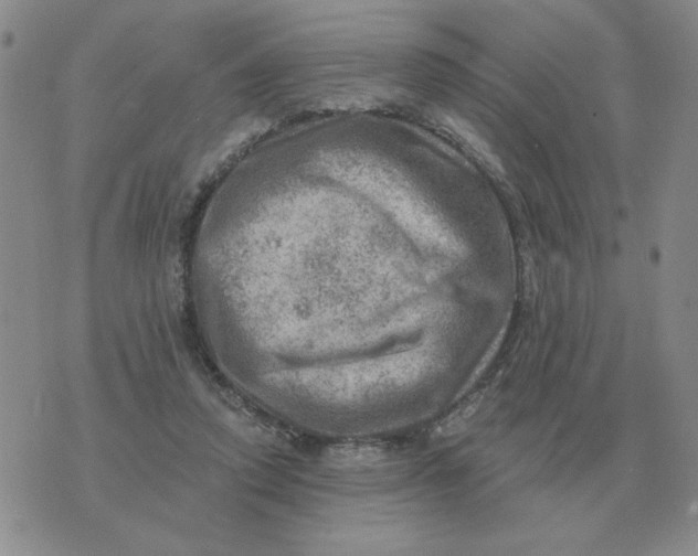 X0000074340354200609152128