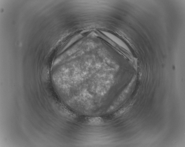 X0000074340355200609152128