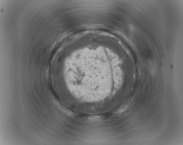 X0000074340357200609152128