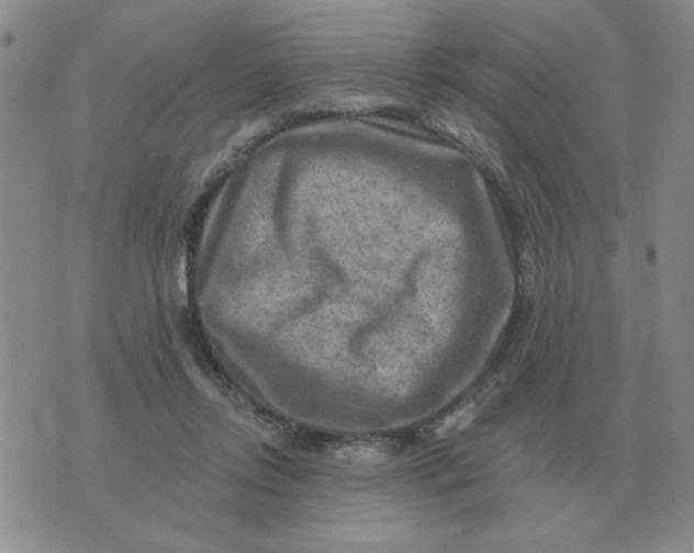 X0000074340358200609152128