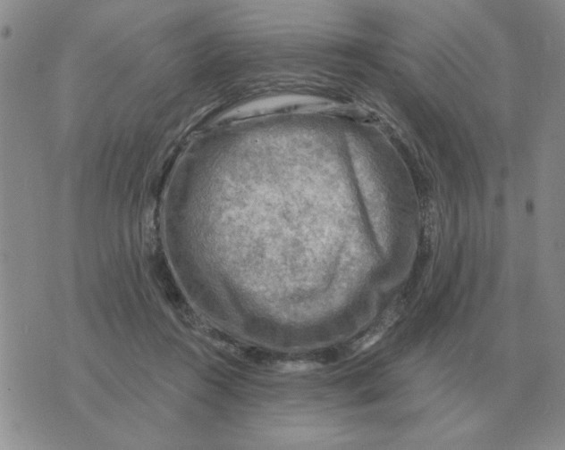 X0000074340360200609152128