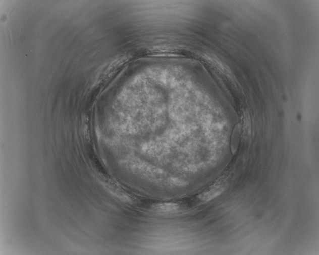 X0000074340361200609152128