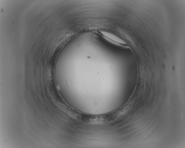 X0000074340362200609152128