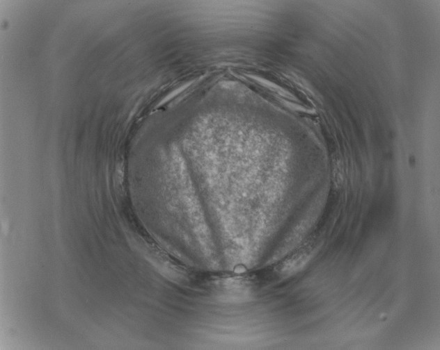 X0000074340365200609152128