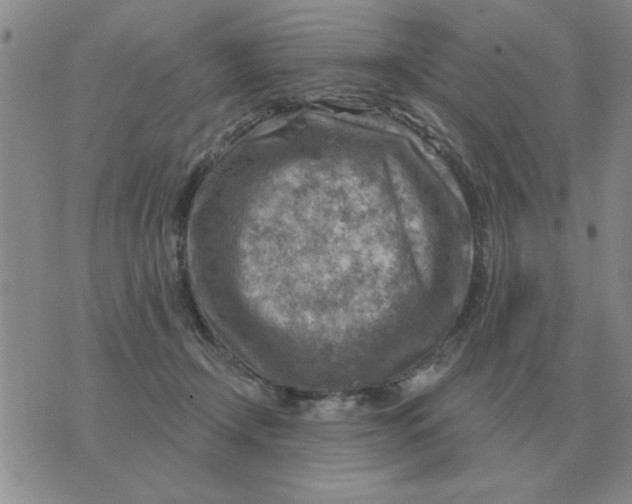 X0000074340366200609152128