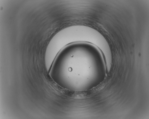 X0000074340368200609152128