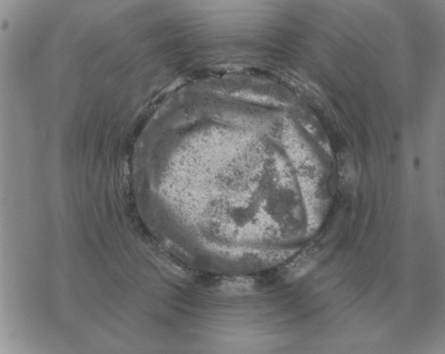 X0000074340369200609152128