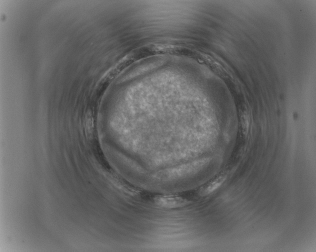 X0000074340372200609152128