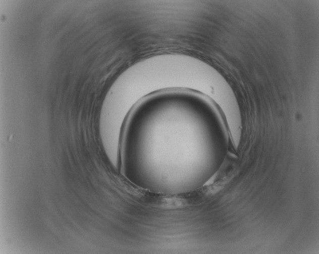 X0000074340376200609152128