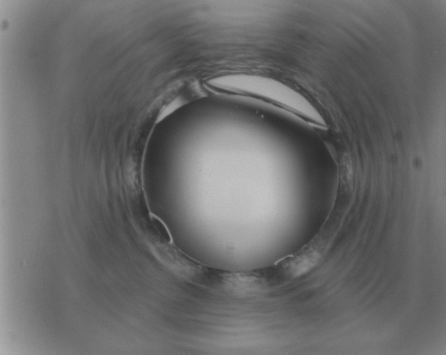 X0000074340380200609152128