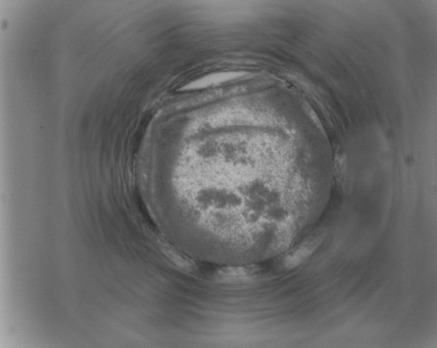 X0000074340381200609152128