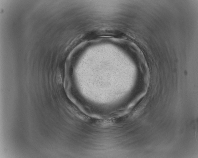 X0000074340384200609152128