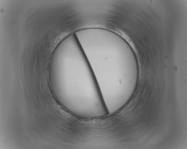 X0000074340385200609152127