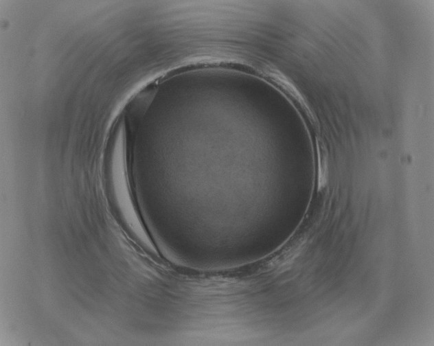 X0000074340387200609152127