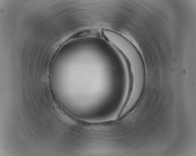 X0000074340389200609152127