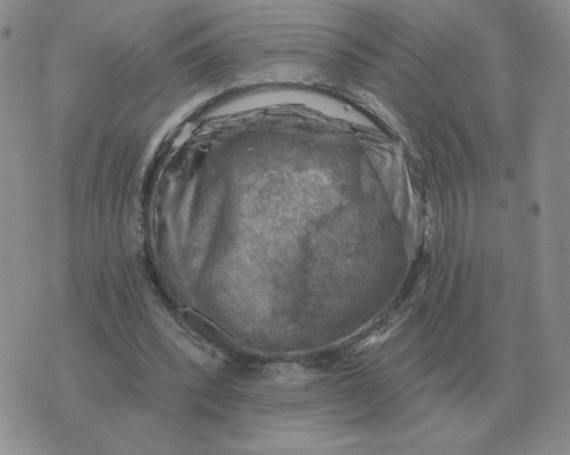 X0000074340392200609152127