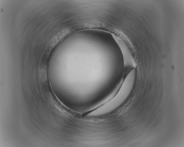 X0000074340393200609152127