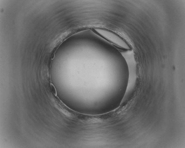 X0000074340397200609152127