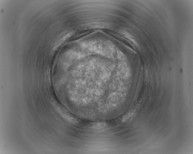 X0000074340398200609152127