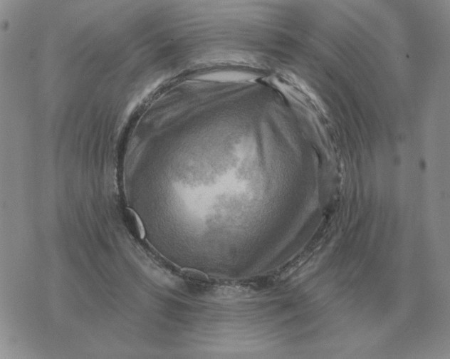 X0000074340399200609152127