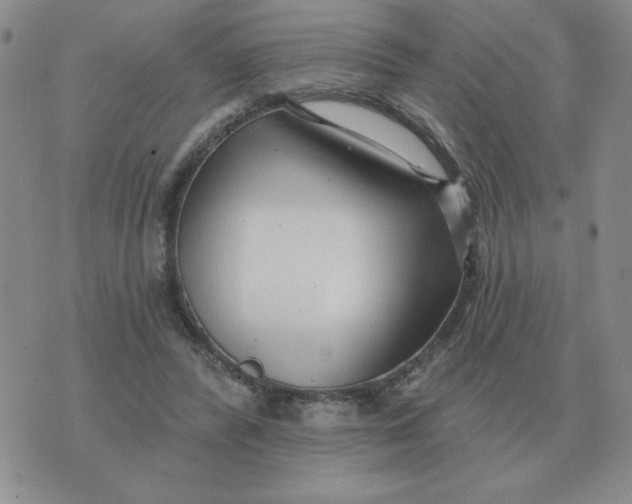 X0000074340400200609152127