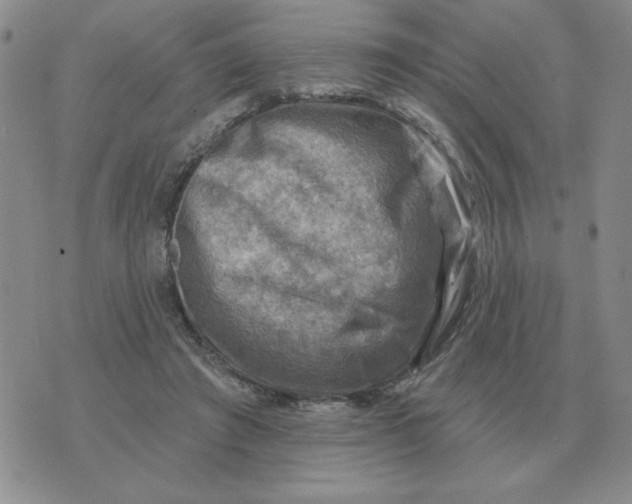 X0000074340401200609152127