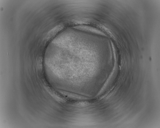 X0000074340402200609152127