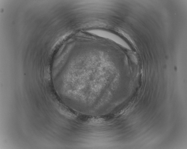 X0000074340403200609152127