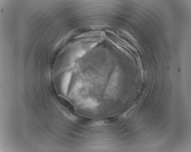 X0000074340405200609152127