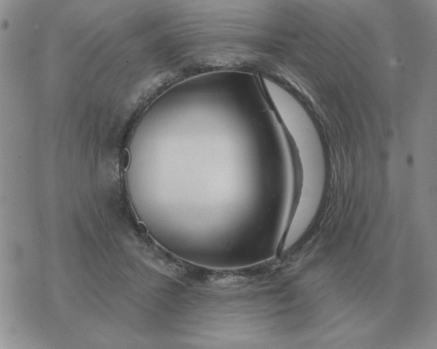 X0000074340407200609152127