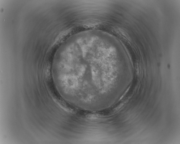 X0000074340408200609152127