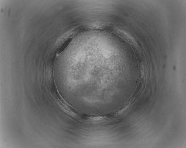 X0000074340409200609152127