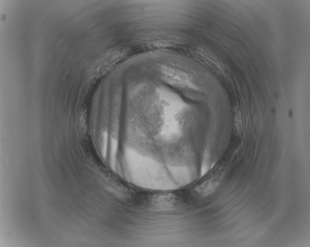 X0000074340410200609152127