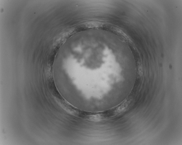 X0000074340411200609152127