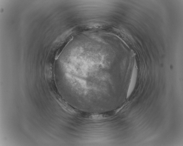 X0000074340413200609152127