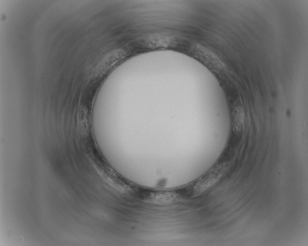 X0000074340414200609152127