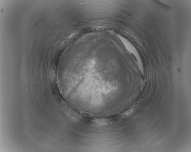 X0000074340417200609152127