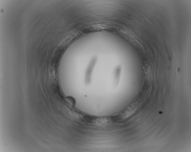 X0000074340418200609152127