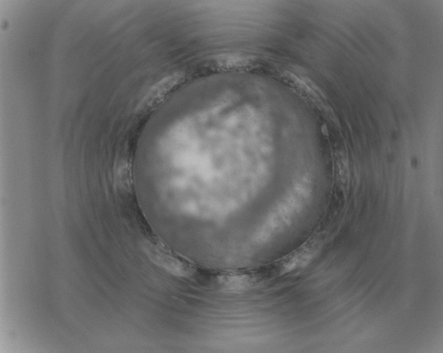 X0000074340419200609152127