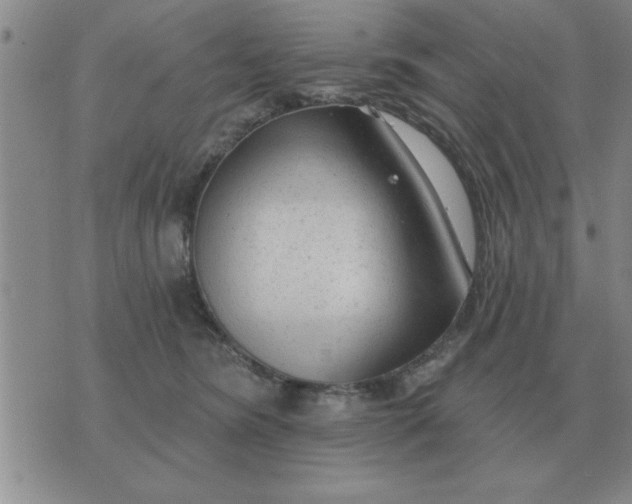 X0000074340420200609152127