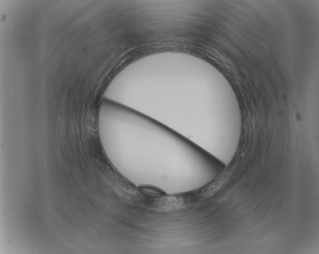 X0000074340421200609152127