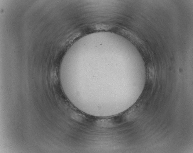 X0000074340422200609152127