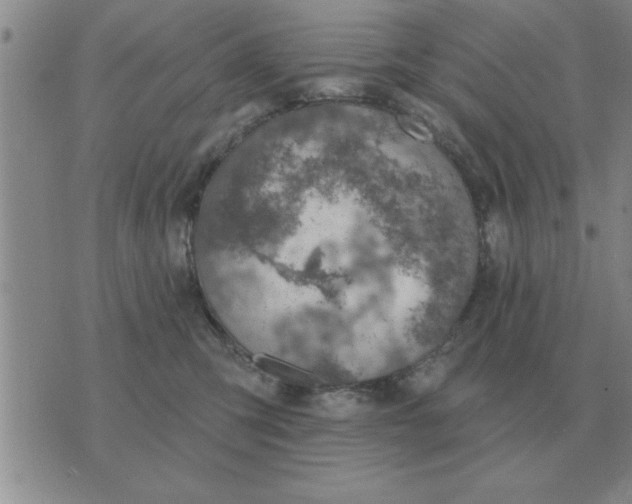 X0000074340423200609152127