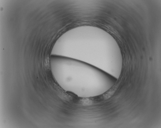 X0000074340425200609152127