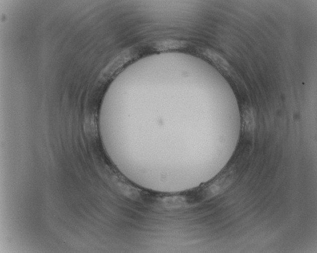 X0000074340426200609152127