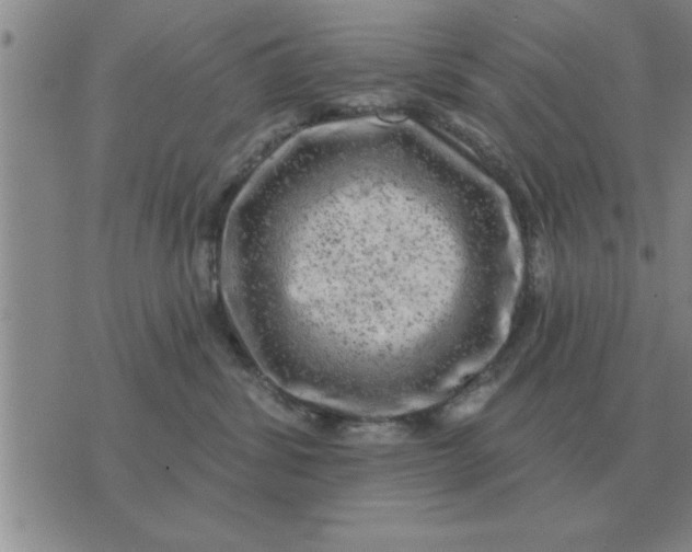 X0000074340428200609152127