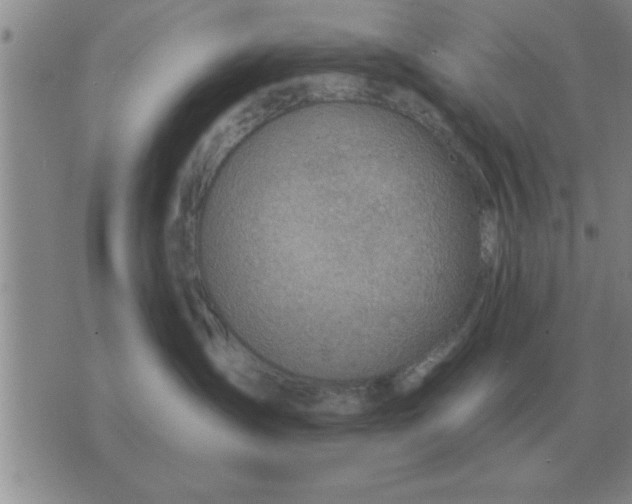 X0000074340431200609152127