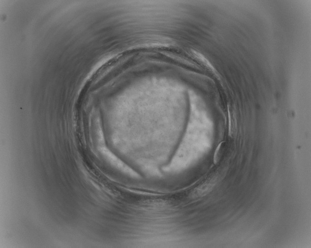 X0000074340435200609152126