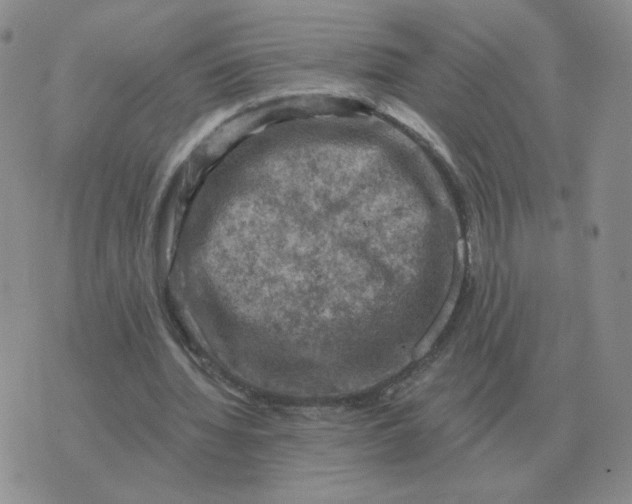 X0000074340436200609152126