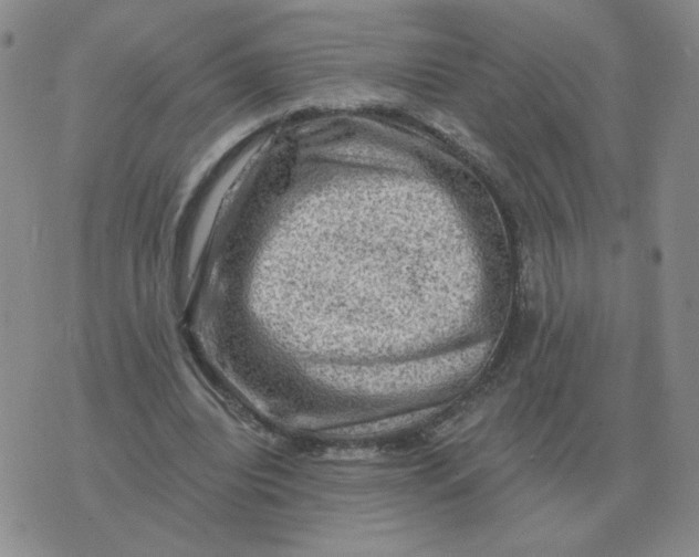 X0000074340440200609152126